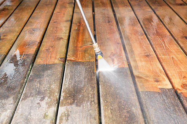 Best Gutter Cleaning  in Denton, NC
